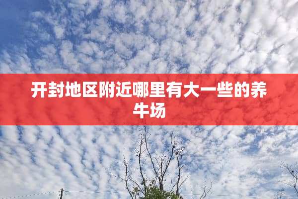 开封地区附近哪里有大一些的养牛场