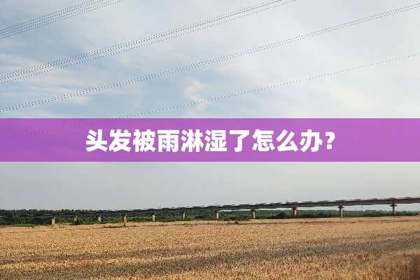 头发被雨淋湿了怎么办？