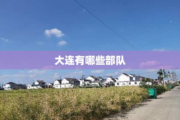 大连有哪些**