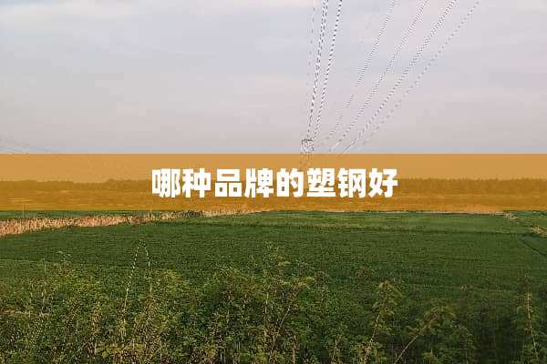 哪种品牌的塑钢好