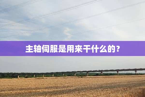 主轴伺服是用来干什么的？