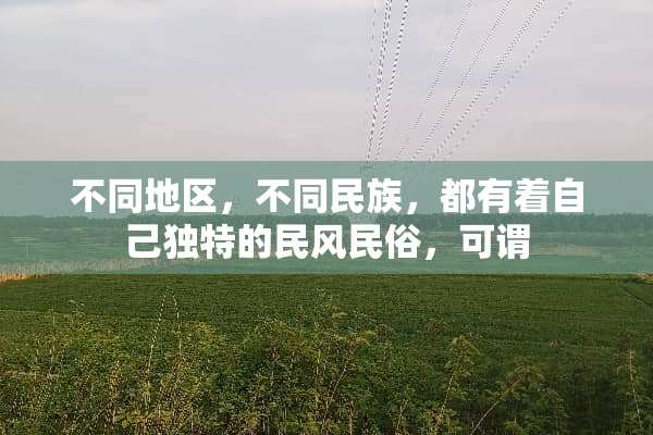 不同地区，不同民族，都有着自己独特的民风民俗，可谓