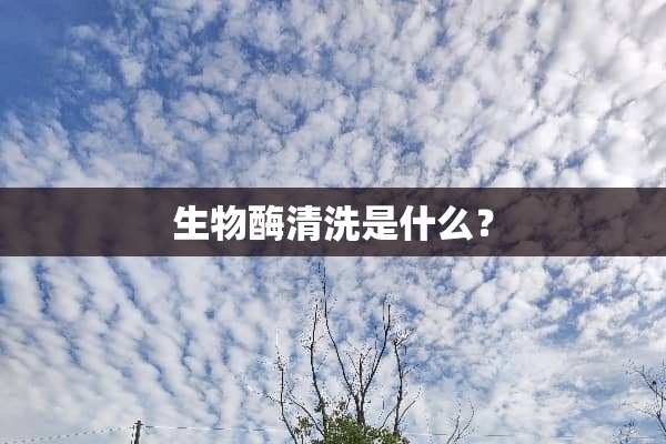 生物酶清洗是什么？