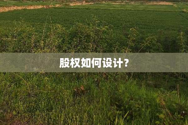 股权如何设计？