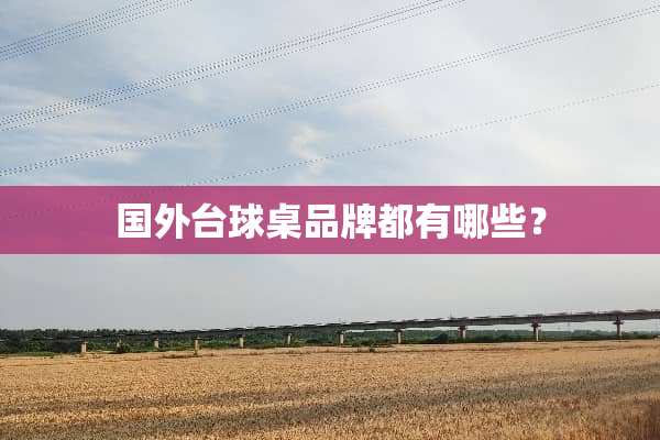国外台球桌品牌都有哪些？