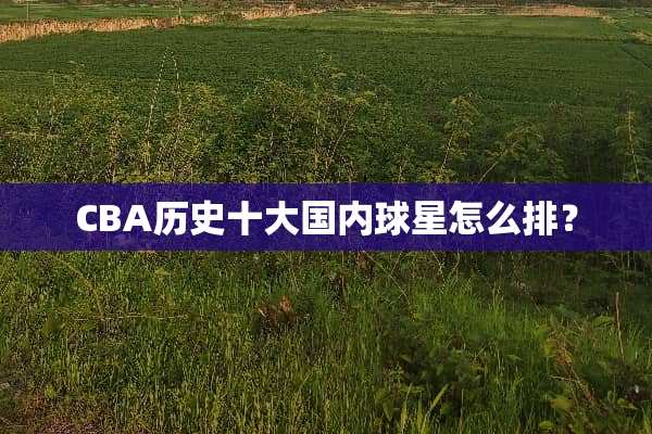 CBA历史十大国内球星怎么排？