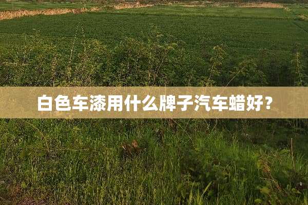 白色车漆用什么牌子汽车蜡好？