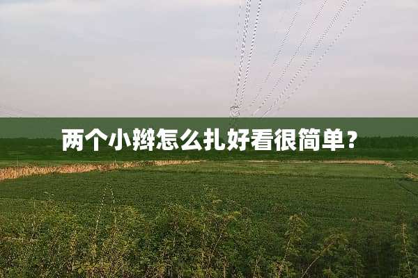 两个小辫怎么扎好看很简单？