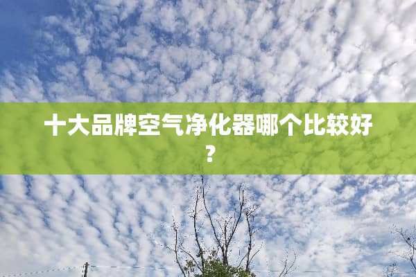 十大品牌空气净化器哪个比较好？