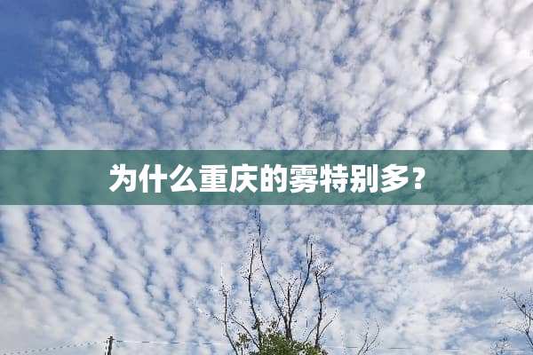 为什么重庆的雾特别多？