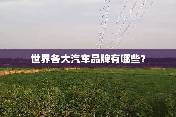 世界各大汽车品牌有哪些？