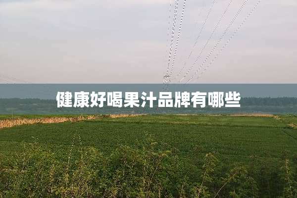 健康好喝果汁品牌有哪些