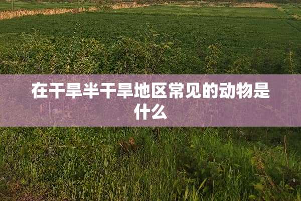 在干旱半干旱地区常见的动物是什么