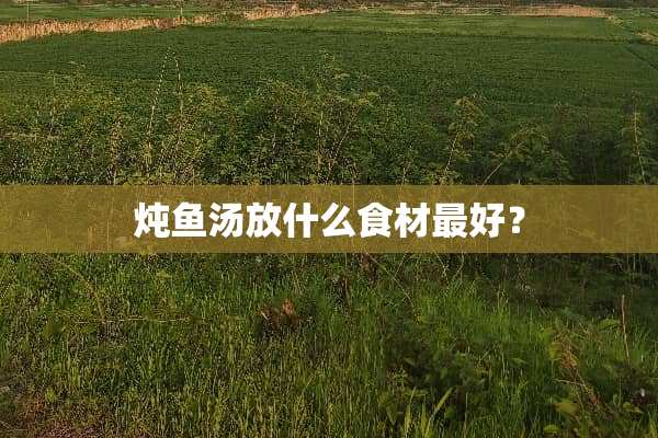 炖鱼汤放什么食材最好？
