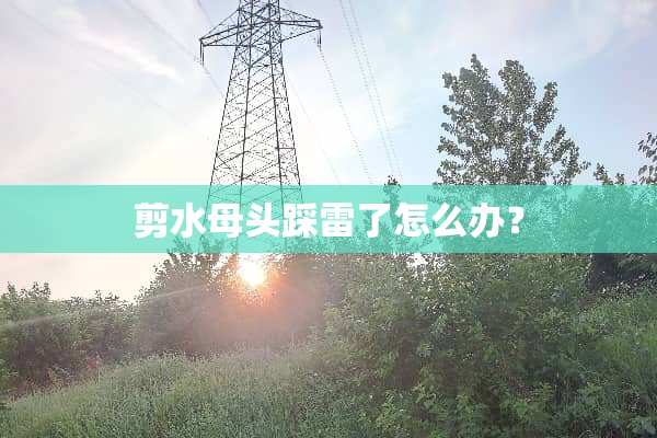 剪水母头踩雷了怎么办？