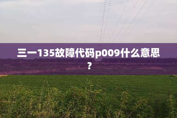 三一135故障代码p009什么意思？