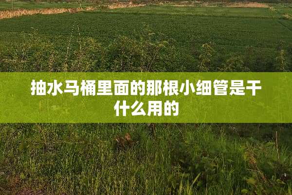 抽水马桶里面的那根小细管是干什么用的