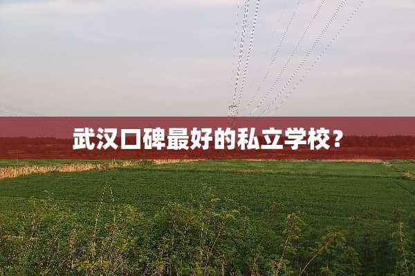 武汉口碑最好的私立学校？