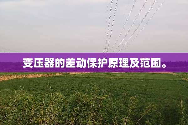 变压器的差动保护原理及范围。