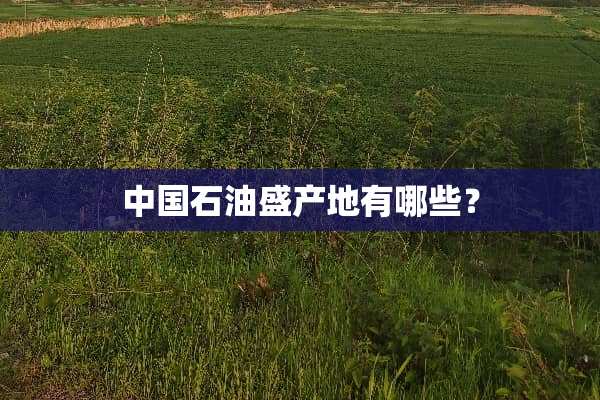 中国石油盛产地有哪些？
