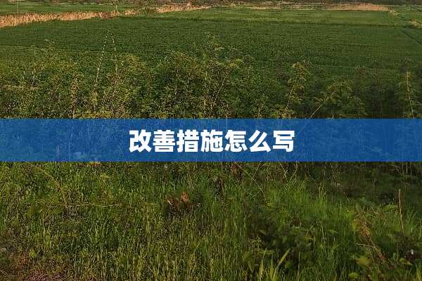 改善措施怎么写