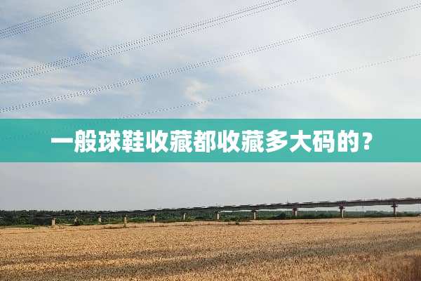 一般球鞋收藏都收藏多大码的？