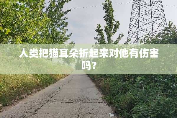 人类把猫耳朵折起来对他有伤害吗？