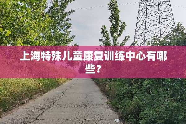 上海特殊儿童康复训练中心有哪些？