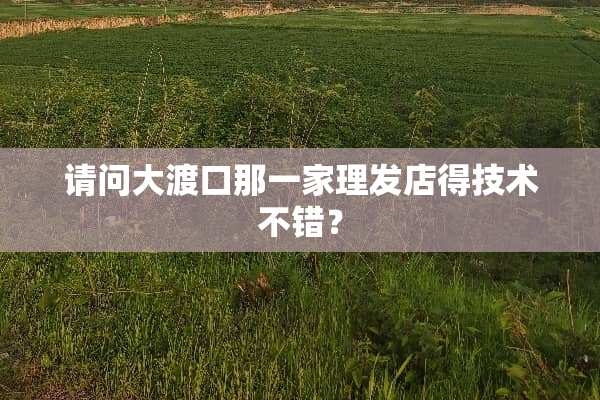 请问大渡口那一家理发店得技术不错？