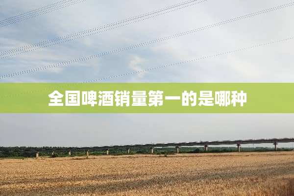 全国啤酒销量第一的是哪种