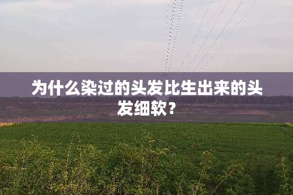 为什么染过的头发比生出来的头发细软？