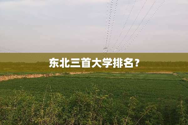东北三首大学排名？