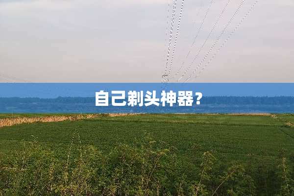 自己剃头神器？