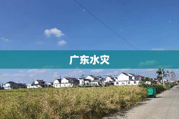 广东水灾