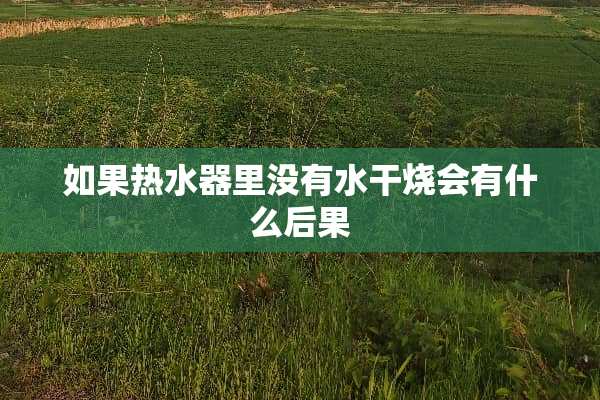 如果热水器里没有水干烧会有什么后果