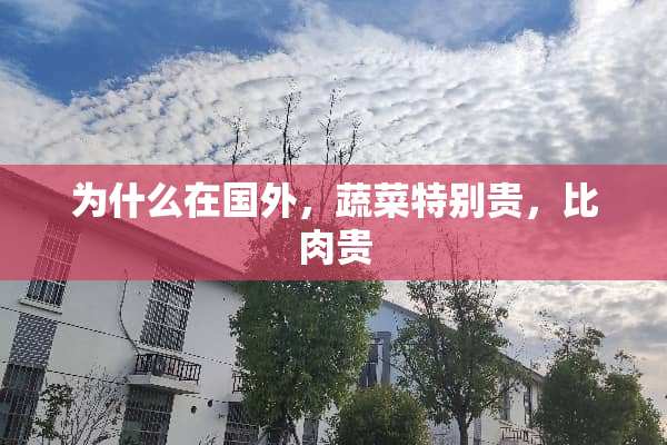 为什么在国外，蔬菜特别贵，比肉贵
