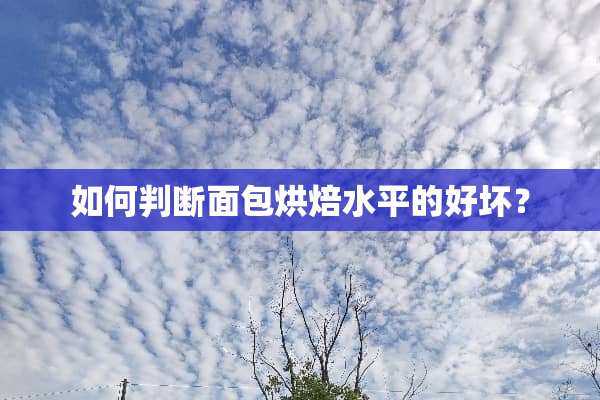 如何判断面包烘焙水平的好坏？