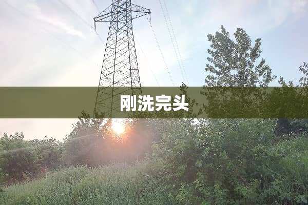 刚洗完头