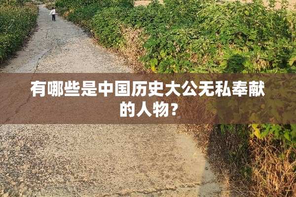 有哪些是中国历史大公无私奉献的人物？