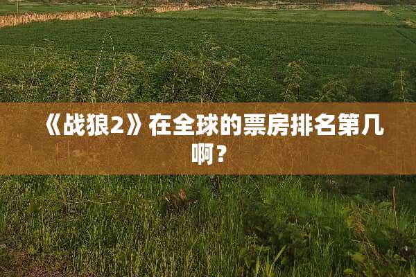 《战狼2》在全球的票房排名第几啊？