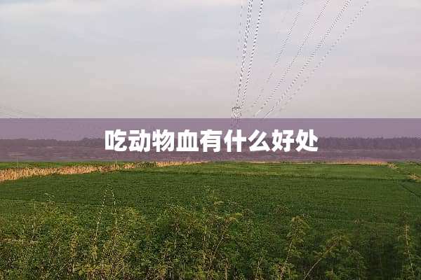 吃动物血有什么好处