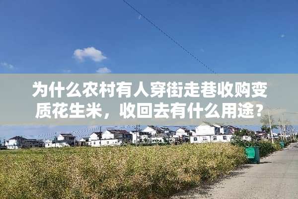 为什么农村有人穿街走巷收购变质花生米，收回去有什么用途？