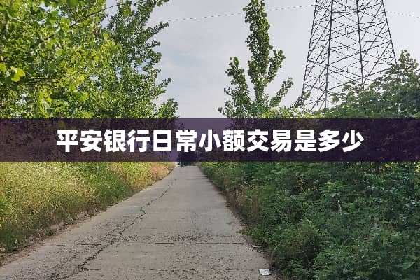 平安银行日常小额交易是多少
