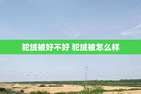 驼绒被好不好 驼绒被怎么样