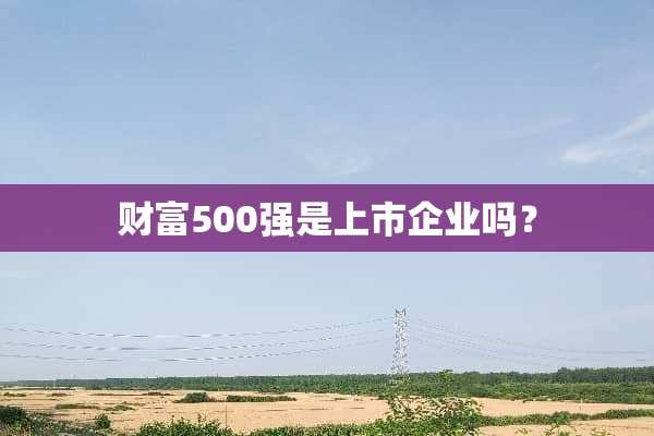 财富500强是上市企业吗？