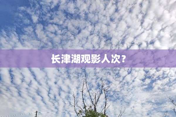 长津湖观影人次？