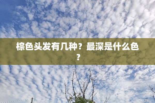 棕色头发有几种？最深是什么色？
