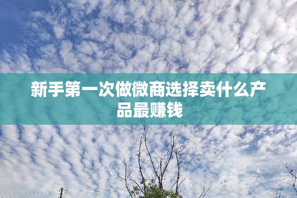 新手第一次做微商选择卖什么产品最赚钱