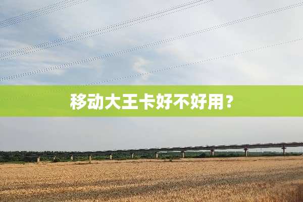 移动大王卡好不好用？