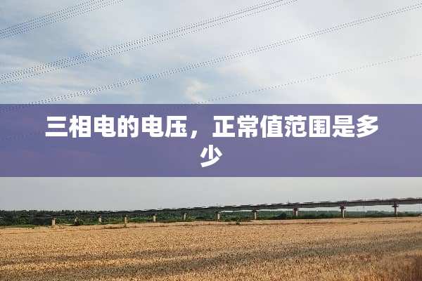 三相电的电压，正常值范围是多少